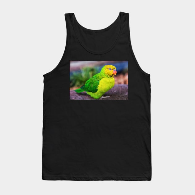 Lorikeet Portrait Tank Top by JeffreySchwartz